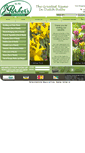 Mobile Screenshot of dutchbulbs.co.uk